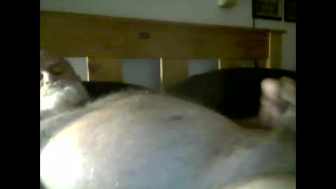 jerkmate6666 online show from May 9, 3:56 am