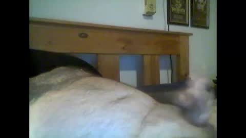 jerkmate6666 online show from May 15, 12:50 am