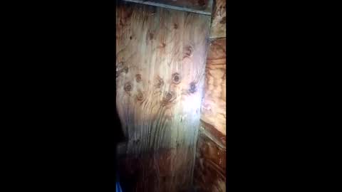 jessemwl8 online show from March 26, 11:16 am