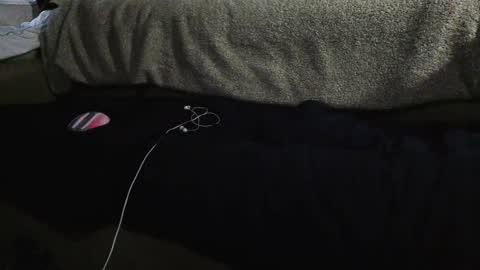 Snapshot of jessiehammerdik chatting on January 27, 11:33 pm Dixon Cider online show from January 27, 11:33 pm