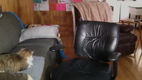 jettadude5 online show from January 25, 6:02 pm