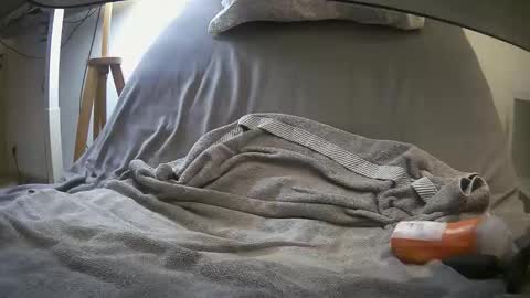 jhonson7342 online show from February 11, 5:51 pm