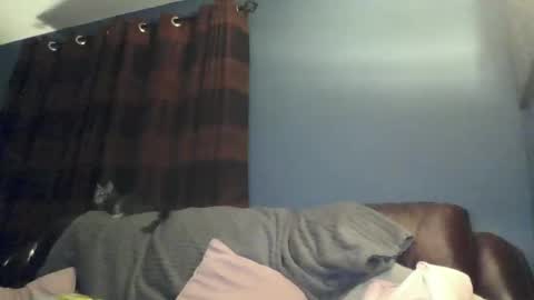 jilfyj online show from March 15, 12:49 am