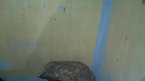 Snapshot of jillian_fuckdoll chatting on December 22, 2:58 pm jillian_fuckdoll online show from December 22, 2:58 pm