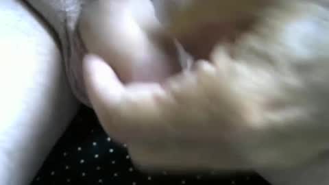 jimismiles online show from October 7, 6:16 pm