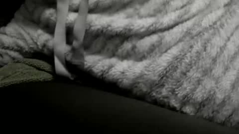 Snapshot of jimmiguel12345678 chatting on December 25, 2:14 am jimmiguel12345678 online show from December 25, 2:14 am