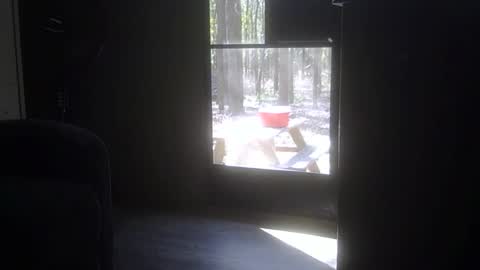 jimmy22smith22 online show from November 12, 4:51 pm