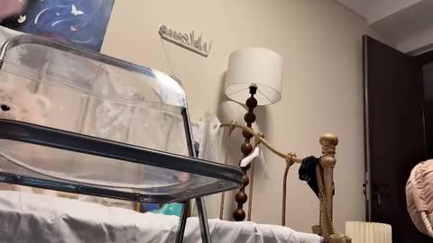 Snapshot of jingyan666 chatting on February 4, 2:45 pm meng meng online show from February 4, 2:45 pm