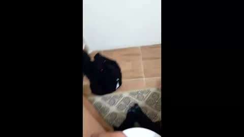 jixldfseepsv online show from January 17, 12:21 pm