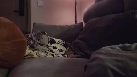 Snapshot of jj_jayjayq chatting on February 8, 12:19 pm jj_jayjayq online show from February 8, 12:19 pm