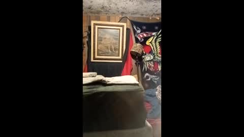 jo575838 online show from April 13, 12:16 am