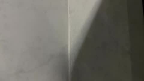 Joan Silva online show from January 5, 4:47 am