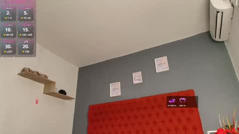 Jocy  online show from February 4, 12:44 pm