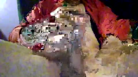 Snapshot of joe_says_hi chatting on November 16, 8:58 pm joe_says_hi online show from November 16, 8:58 pm