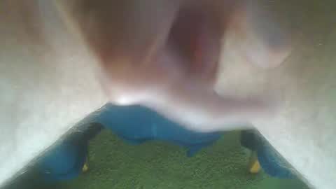 John Death online show from October 14, 10:16 am