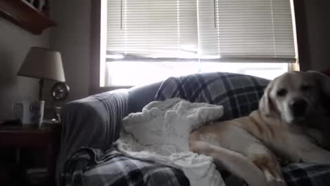 Snapshot of johstondude chatting on November 5, 1:44 pm Johston online show from November 5, 1:44 pm