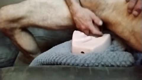 jojomojo648497 online show from May 15, 5:03 am