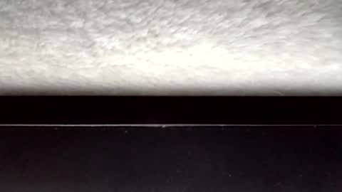 Snapshot of jonlovespussy6969 chatting on March 31, 3:30 am John loves pussy online show from March 31, 3:30 am