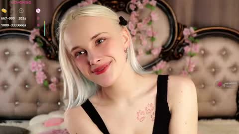 Alice online show from April 26, 11:08 am