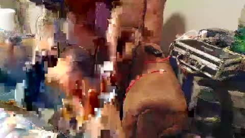 Josef online show from January 22, 11:10 pm