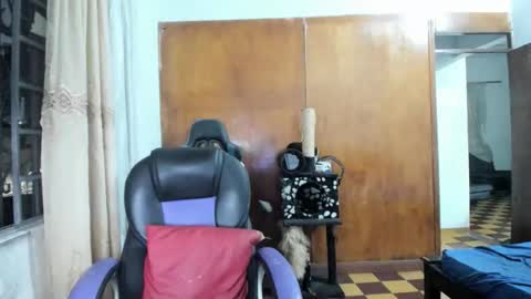 MR OAK online show from October 28, 12:36 am