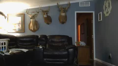 Josh online show from March 26, 2:28 am