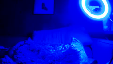 Snapshot of jroge21 chatting on March 9, 3:22 am jroge21 online show from March 9, 3:22 am