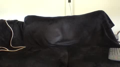 Snapshot of juanmamestre94 chatting on February 27, 2:39 pm juanmamestre94 online show from February 27, 2:39 pm