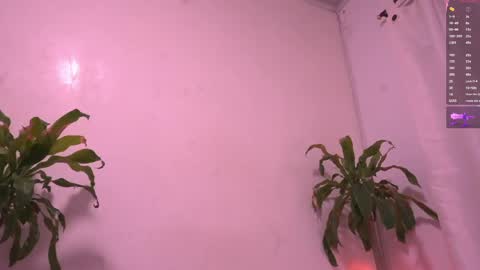 Sisi online show from May 15, 3:02 am