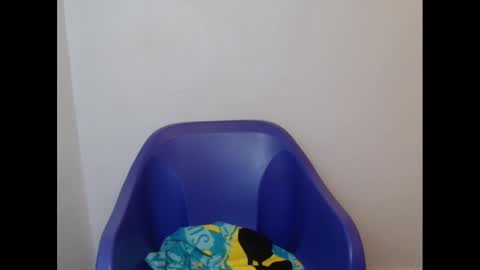 juicyxpink online show from February 21, 2:16 pm