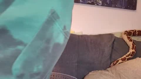 julia_official online show from November 7, 5:02 pm