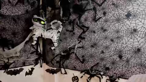 Snapshot of julietta__jackson chatting on October 9, 6:50 pm Julietta Jackson online show from October 9, 6:50 pm