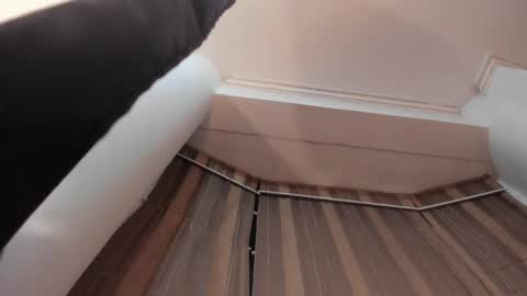 Jupiter Fox online show from October 15, 12:33 am