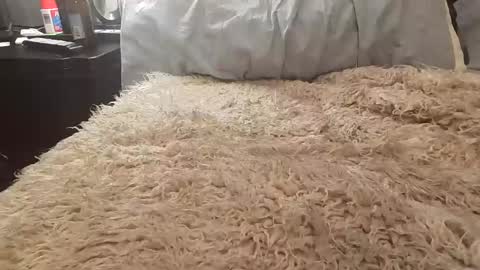 Snapshot of jusme6269 chatting on January 8, 1:00 am Jusme6269 online show from January 8, 1:00 am