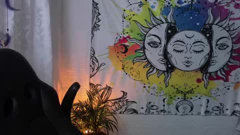 Sofia online show from February 22, 2:06 am