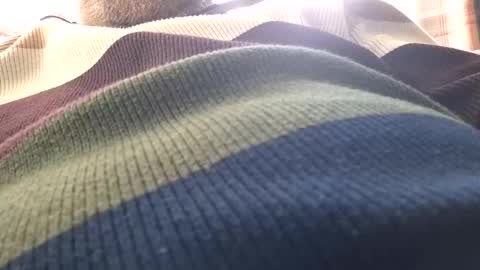 Snapshot of justenjoyingurcompany chatting on February 27, 11:41 am justenjoyingurcompany online show from February 27, 11:41 am