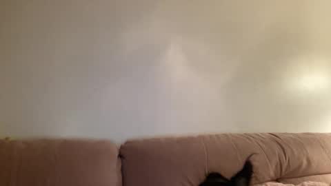 Jess online show from March 2, 4:36 am