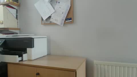 JWBcock58 online show from September 16, 10:38 am