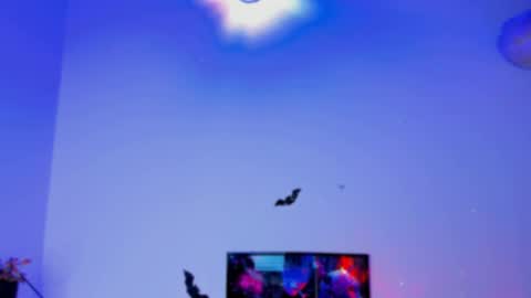 Kaaiiri online show from January 3, 4:06 pm