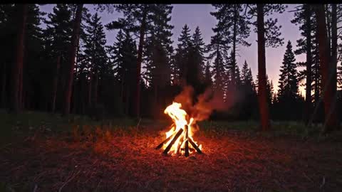 Kailee Smile online show from January 9, 4:26 am