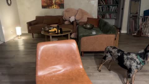 Snapshot of kaileeshy chatting on March 6, 4:53 am Kailee Smile online show from March 6, 4:53 am