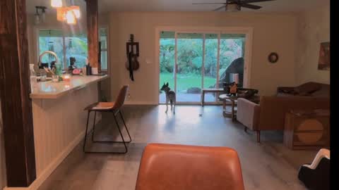 Snapshot of kaileeshy chatting on March 21, 4:28 am Kailee Smile online show from March 21, 4:28 am