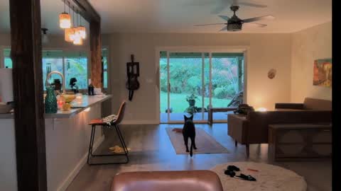 Snapshot of kaileeshy chatting on March 28, 4:12 am Kailee Smile online show from March 28, 4:12 am