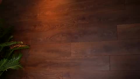 Kaira online show from March 13, 8:04 pm