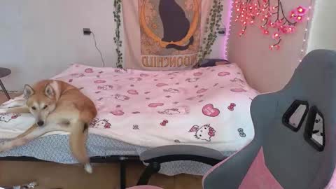 Snapshot of kaisythesmall chatting on March 12, 6:41 am Kessy online show from March 12, 6:41 am