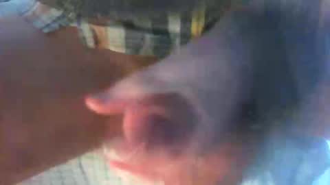 kamabo2 online show from April 7, 5:35 pm