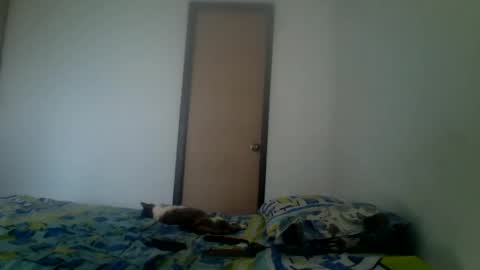 Snapshot of karlhats2023 chatting on December 27, 7:57 pm karlhats2023 online show from December 27, 7:57 pm