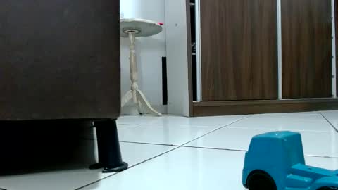 Tamires e Maicon online show from October 9, 8:29 pm