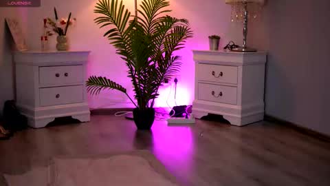 Kassidy online show from February 11, 11:04 am