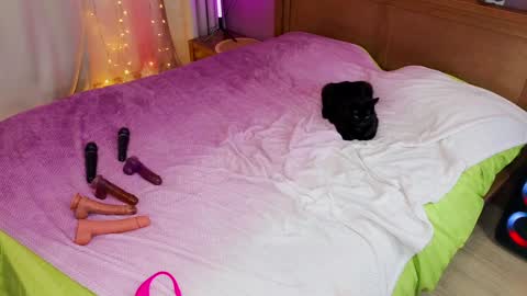 Kate  Sex-House  MILA WAYGMT2 MonTue  0300am-1500am online show from December 5, 12:22 pm